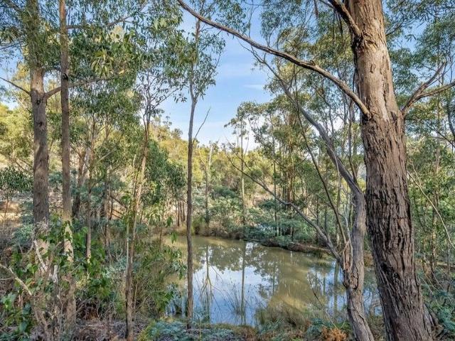 A Lifestyle Awaits! Bush Property 25 Minutes To Hobart CBD