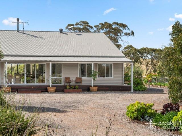 A Lifestyle Property with Room for Horses, Family to Grow & Everything in Between