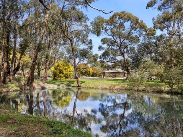 A Lifestyle Retreat on the Edge of Town