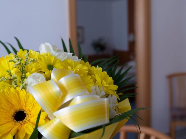 a little bit like coming home! Apartment 60m², Vienna Amsterdam Apartments for Rent