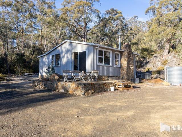 A Little Shack, A Lifetime of Memories