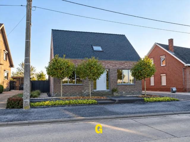 à louer Maison Munsterbilzen Schietboomstraat