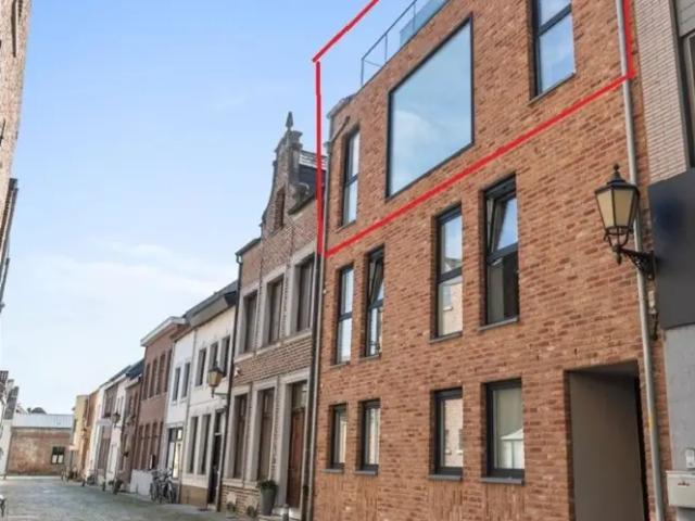 à louer Appartement Maaseik Marktstraat
