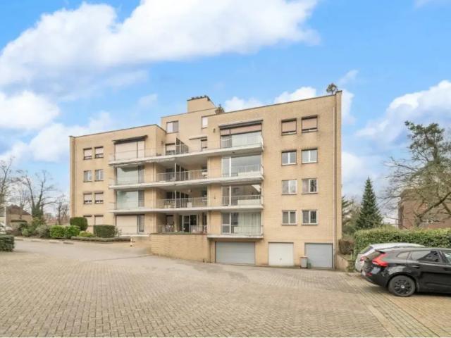 à louer Appartement Maasmechelen Herdersstraat