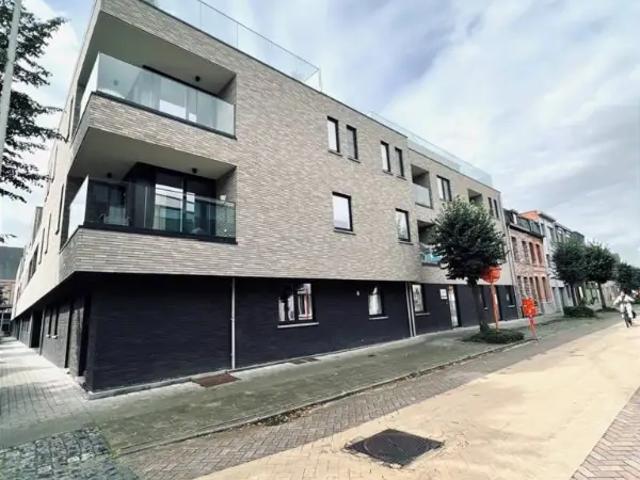 à louer Appartement Melsele Sint Elisabethstraat
