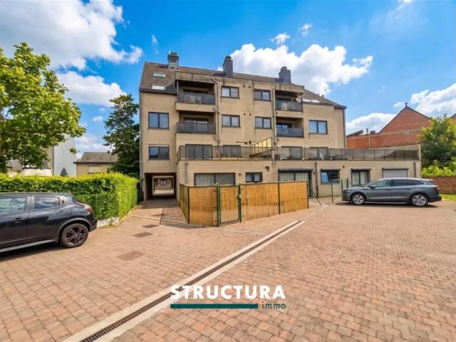 à louer Appartement Merchtem Wolvertemsesteenweg