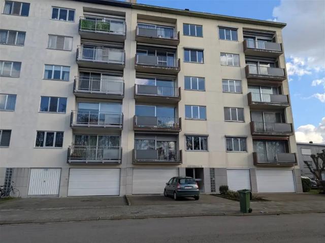 à louer Appartement Merksem Wulpstraat
