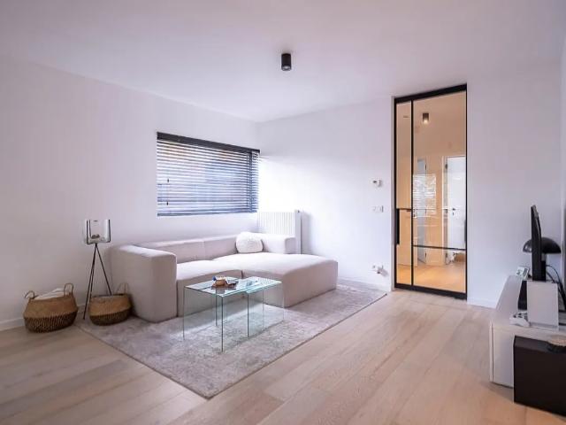 à louer Appartement Merksem Trompetvogelstraat