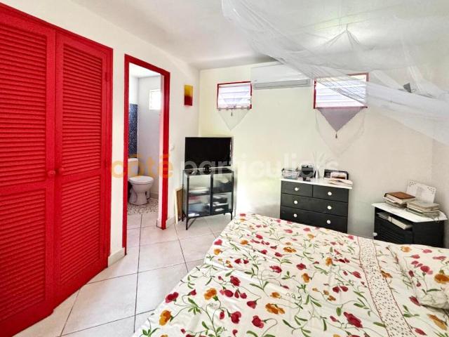 A louer appartement meublé 2 pièce 28m2