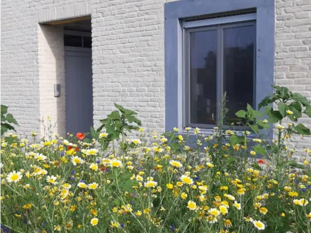 à louer Appartement Orsmaal Gussenhoven Sint Truidensesteenweg