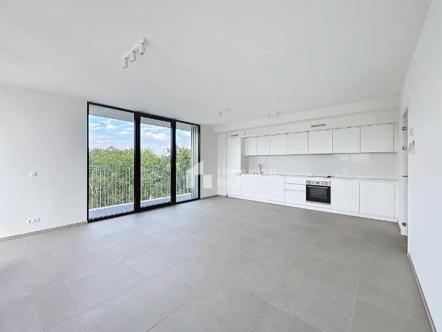 à louer Appartement Anderlecht Rue du Developpement