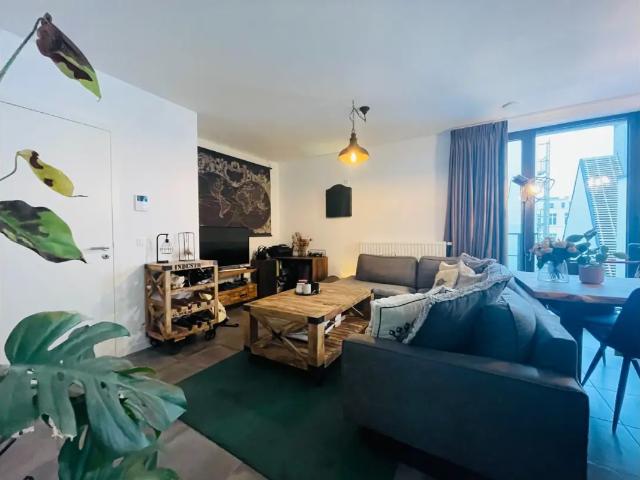 à louer Appartement Anvers Cellebroedersstraat