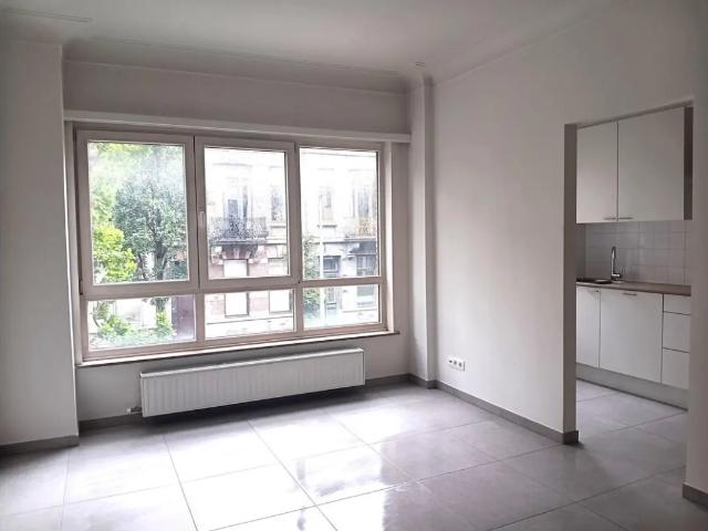 à louer Appartement Anvers Graaf van Hoornestraat