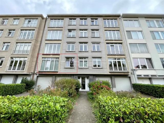 à louer Appartement Anvers Jan Van Rijswijcklaan