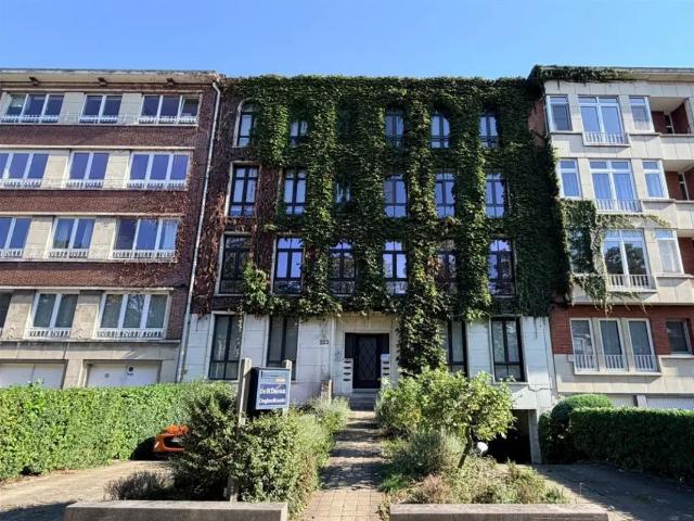 à louer Appartement Anvers Jan Van Rijswijcklaan