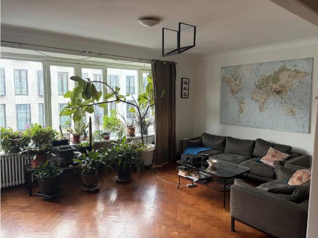 à louer Appartement Anvers Quellinstraat