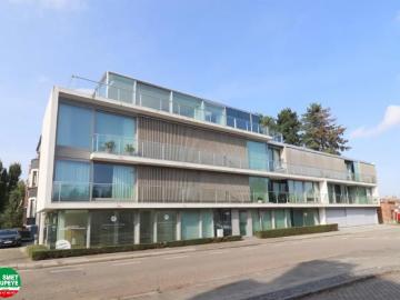 8310, Arrondissement de Bruges, Flandre-Occidentale, Flandre