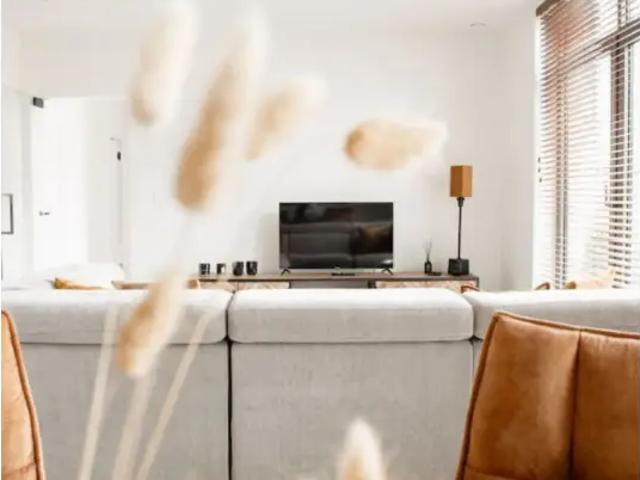 à louer Appartement Belsele Belseledorp