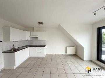 à louer Appartement Berchem Jan De Graefstraat