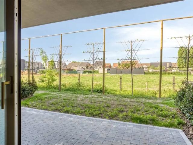 à louer Appartement Beveren Walhof