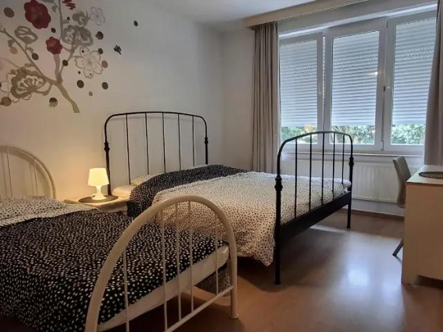à louer Appartement Borgerhout Bleekhofstraat