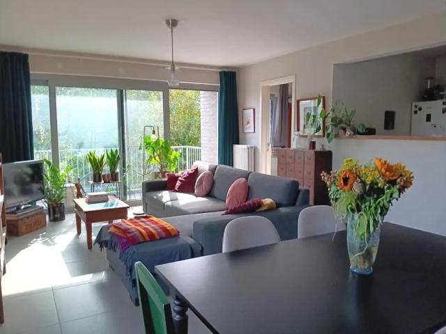à louer Appartement Borsbeek Manebruggestraat