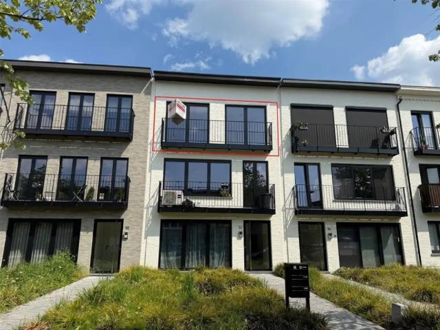 à louer Appartement Brasschaat De Tomermaat