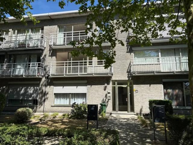 à louer Appartement Brasschaat Meeslaan