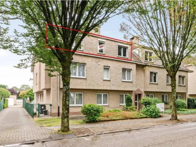 à louer Appartement Brasschaat Prins van Oranjestraat