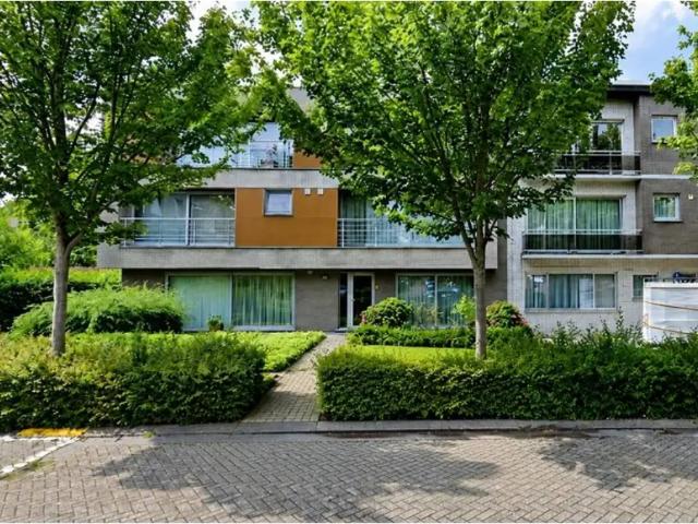 à louer Appartement Brasschaat Vuurkruisenlei