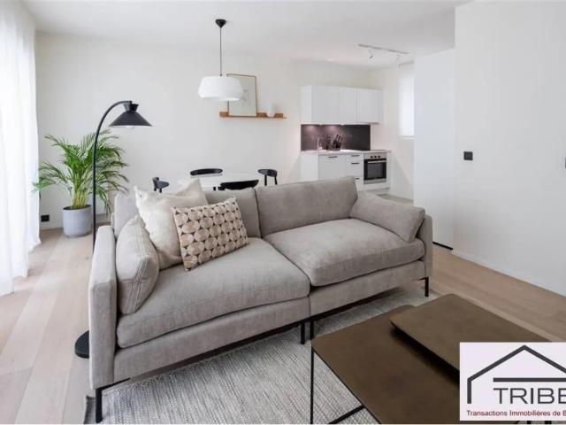 à louer Appartement Bruxelles Rue du Colombier