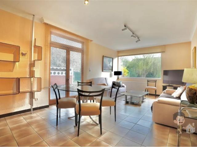 à louer Appartement Châtelineau