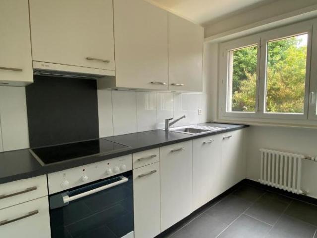 A louer, appartement de 1,5 pièces avec terrasse au rez de chaussée