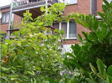 2100, Deurne, Anvers, Province de Anvers, Flandre