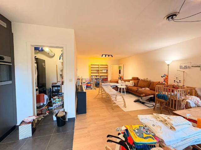 à louer Appartement Edegem Keltenheuvel