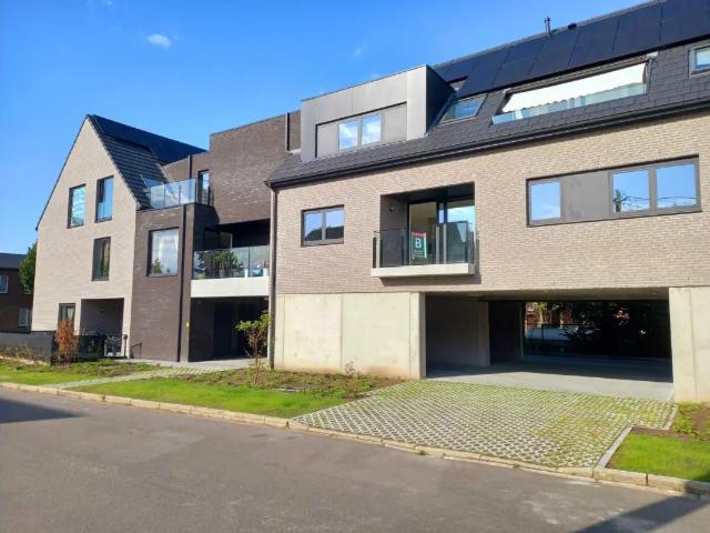 à louer Appartement Geel Schaapsdijk