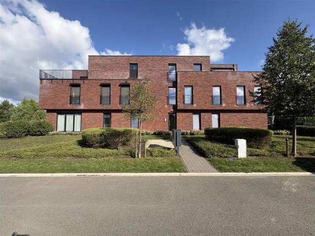 à louer Appartement Grobbendonk Minnekepoeslaan