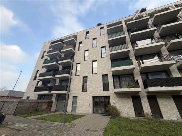 2660, Anvers, Province de Anvers, Flandre