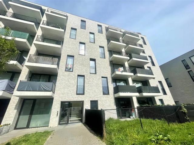 à louer Appartement Hoboken Zeelandstraat
