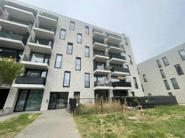 à louer Appartement Hoboken Zeelandstraat