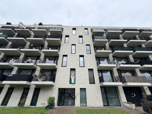 à louer Appartement Hoboken Zeelandstraat