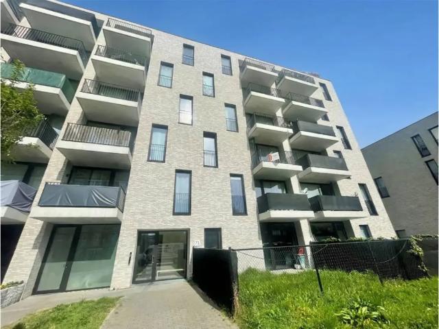 à louer Appartement Hoboken Zeelandstraat