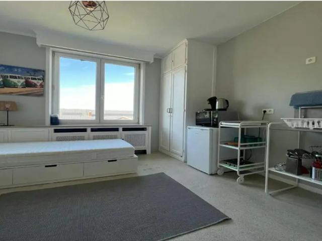 à louer Appartement Ixelles Place de la Petite Suisse