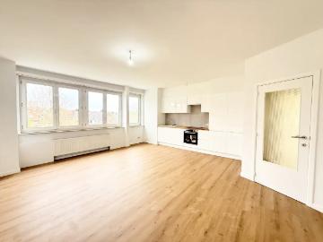 1950, Crainhem, Hal-Vilvorde, Flandre