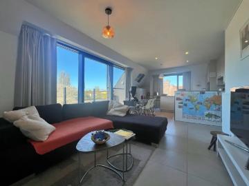 9920, Lovendegem, Lievegem, Flandre orientale, Flandre