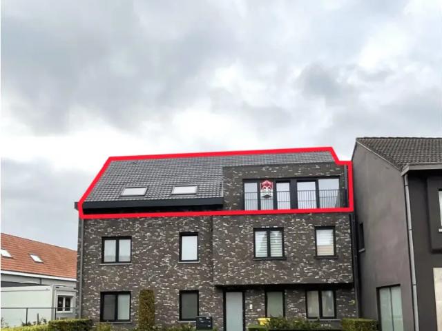à louer Appartement Lille Rechtestraat