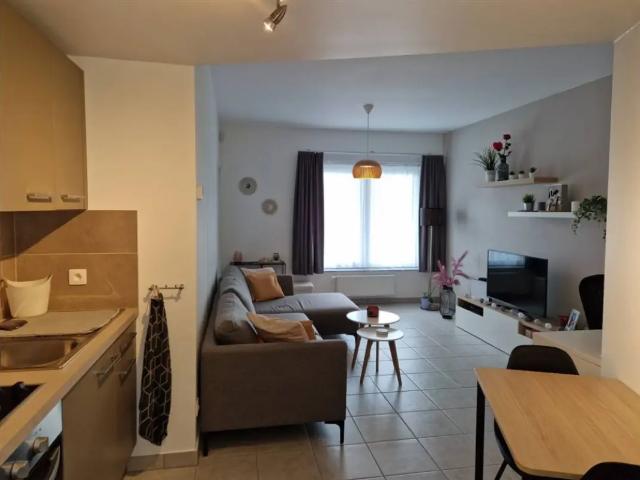 à louer Appartement Péruwelz Clos des Hauts Trieux