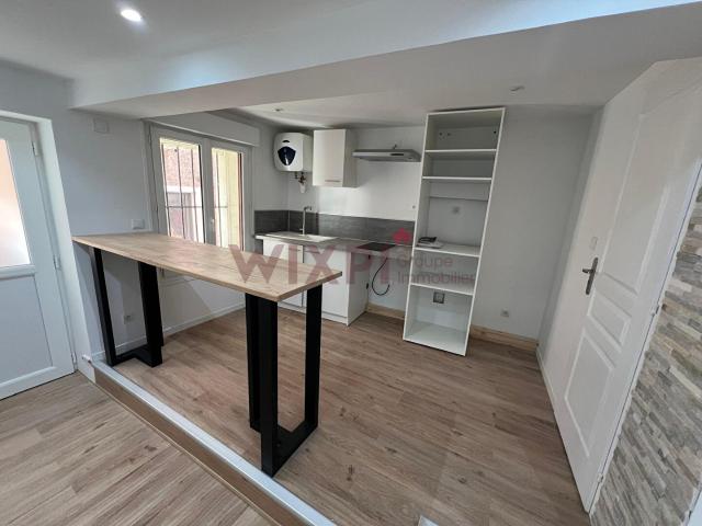 À louer Appartement rénové avec cave aménagée au coeur de Saint Symphorien d'Ozon, Saint symphorien d ozon