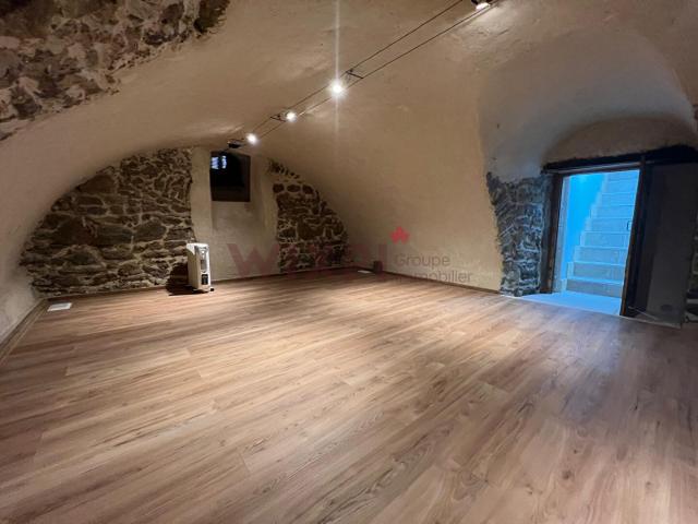 À louer Appartement rénové avec cave aménagée au coeur de Saint Symphorien d'Ozon, Saint symphorien d ozon