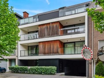 3800, Saint-Trond, Hasselt